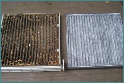 Name:  Drity vs clean cabin air filter.jpg
Views: 2381
Size:  29.8 KB